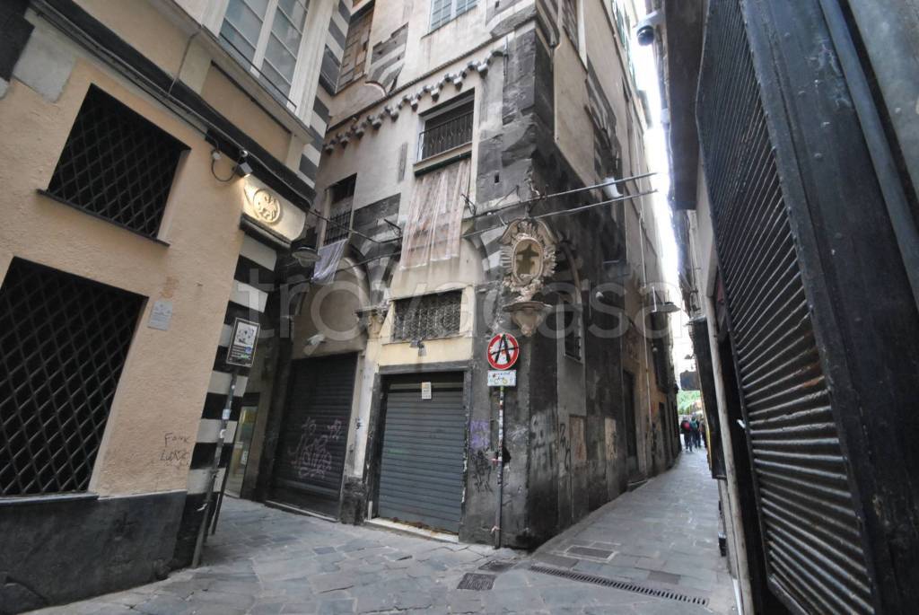 appartamento in affitto a Genova