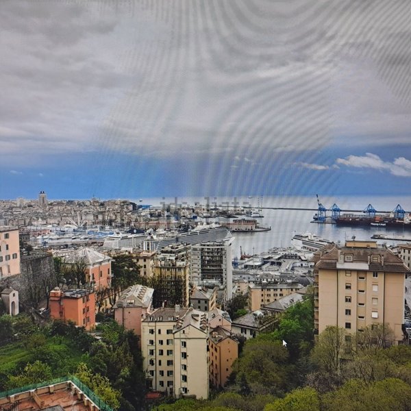 appartamento in affitto a Genova in zona San Teodoro