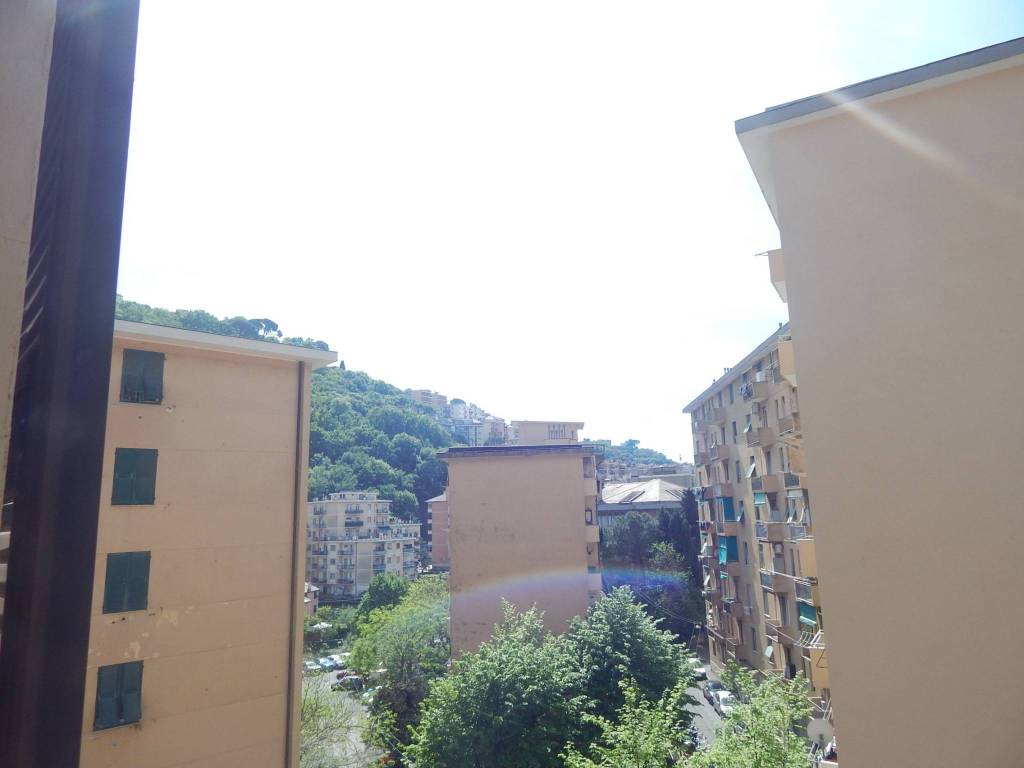 appartamento in affitto a Genova in zona San Martino