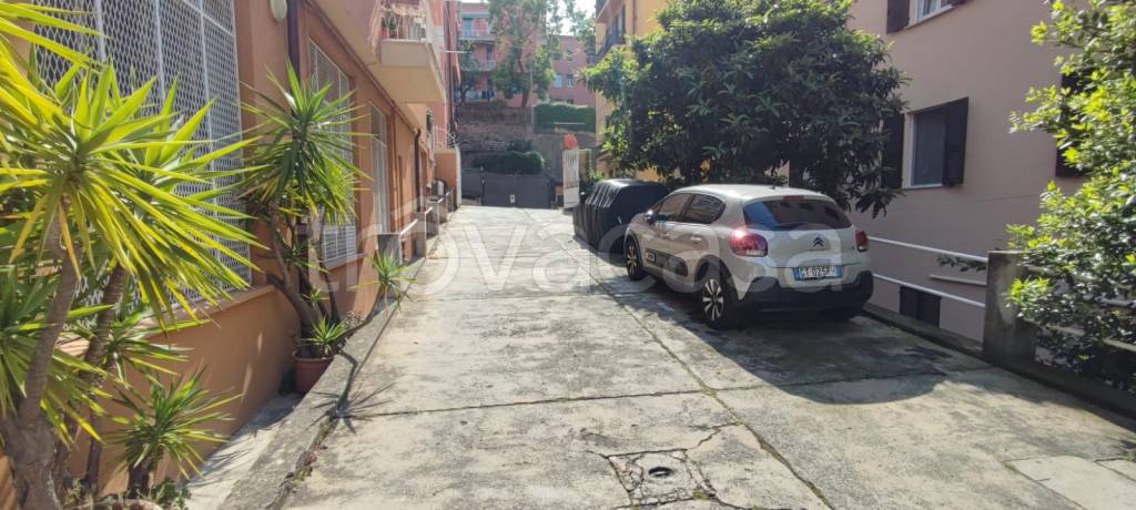 locale commerciale in affitto a Genova in zona Albaro