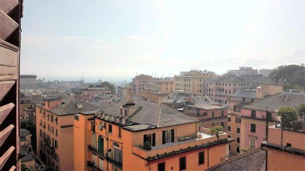 appartamento in affitto a Genova