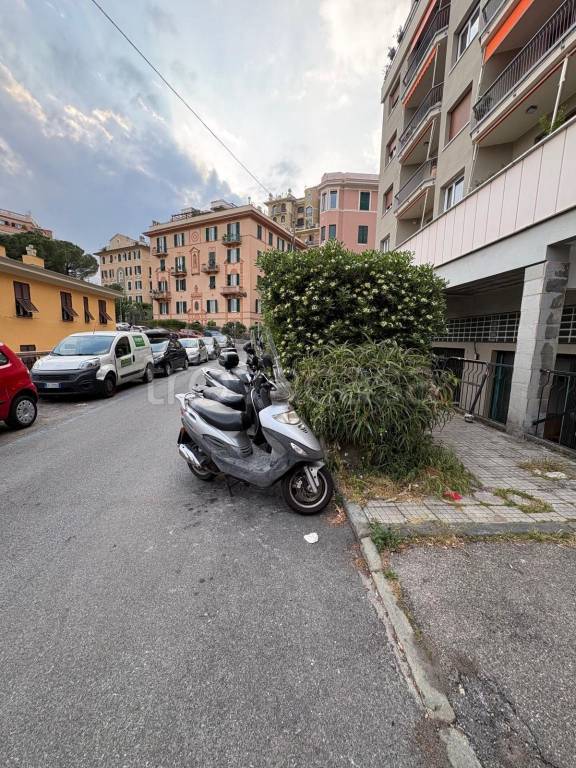locale commerciale in affitto a Genova in zona Castelletto