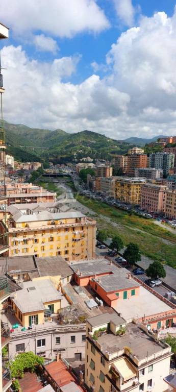 appartamento in affitto a Genova in zona Staglieno