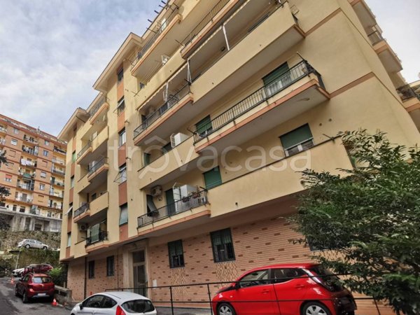 appartamento in affitto a Genova in zona Quezzi