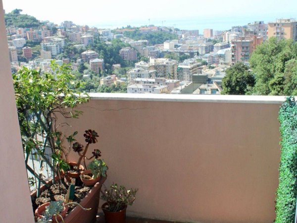appartamento in affitto a Genova in zona San Martino