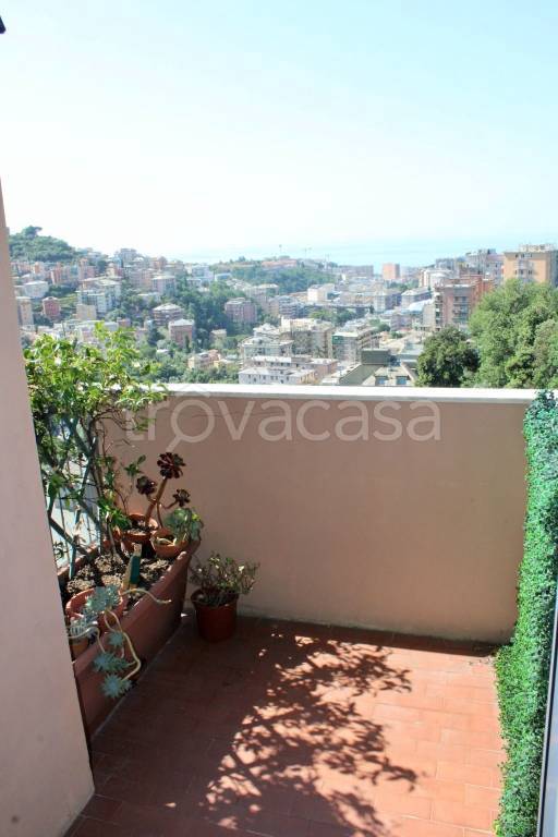 appartamento in affitto a Genova