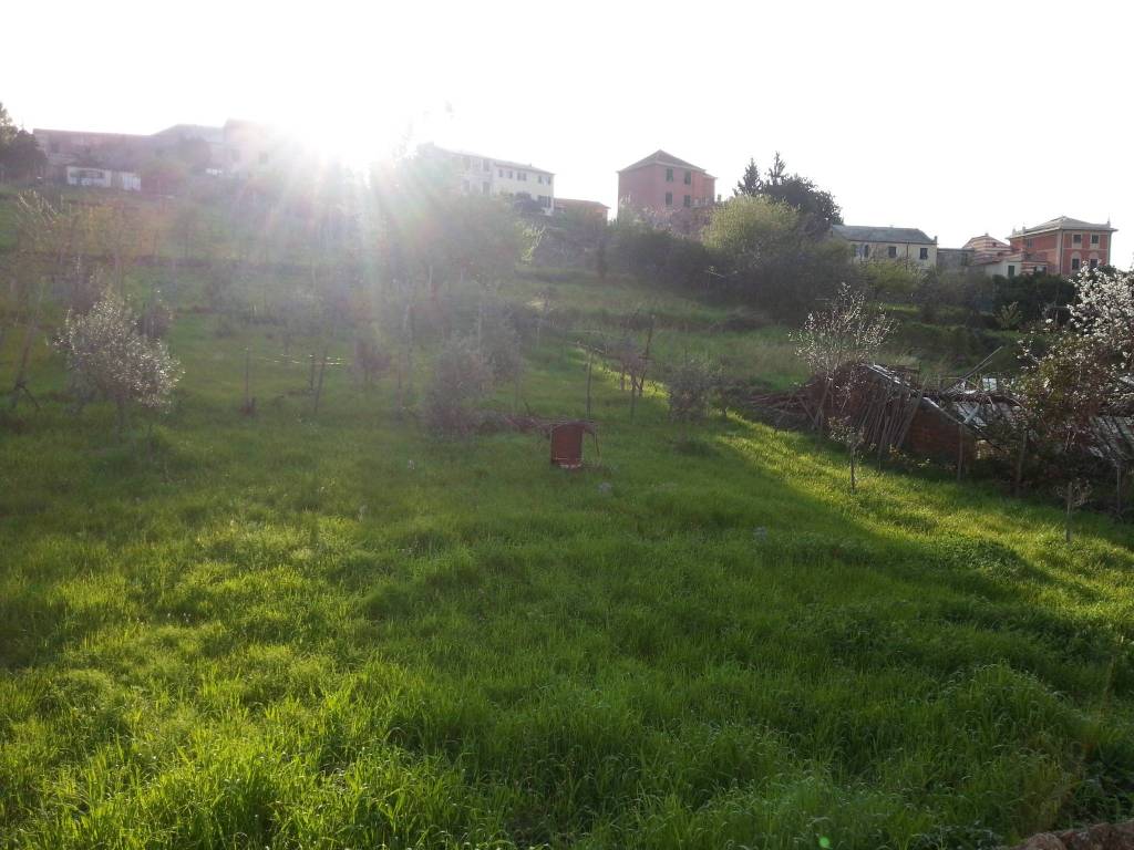 appartamento in affitto a Genova in zona Borzoli