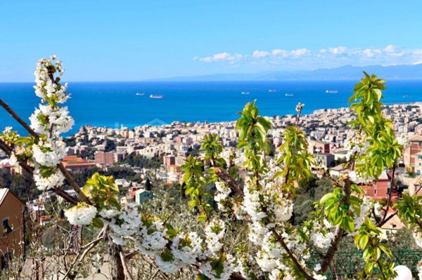 appartamento in affitto a Genova in zona San Martino