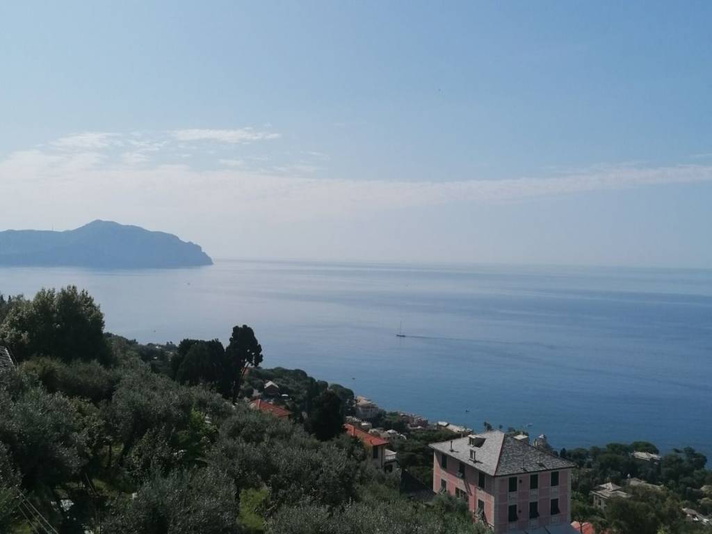 appartamento in affitto a Genova in zona Nervi