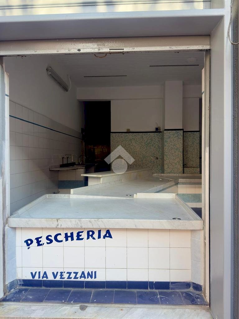 immagine annuncio 0 di 11