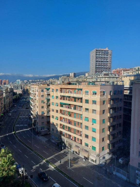 appartamento in affitto a Genova in zona Sampierdarena