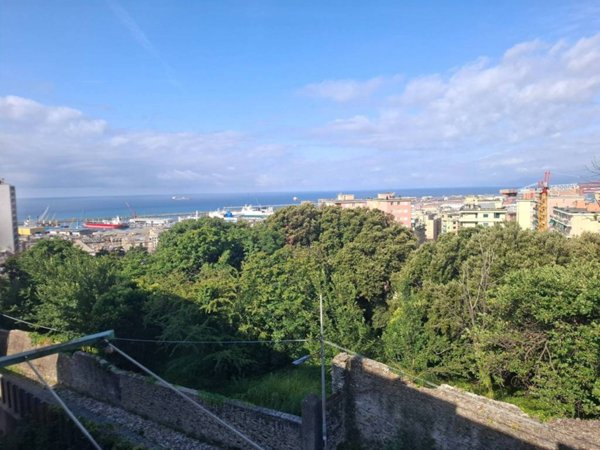 appartamento in affitto a Genova in zona Sampierdarena