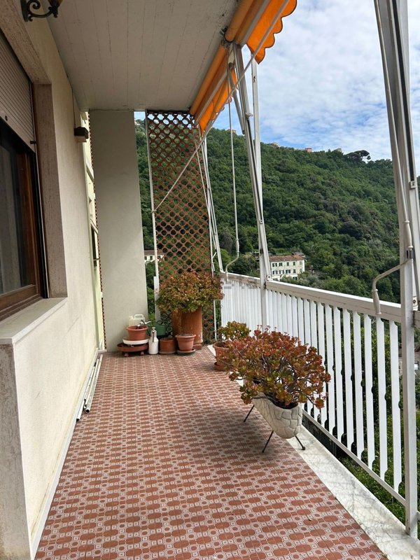 appartamento in affitto a Genova in zona Sturla
