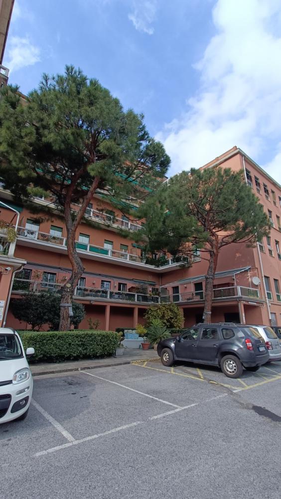 appartamento in affitto a Genova in zona DiNegro