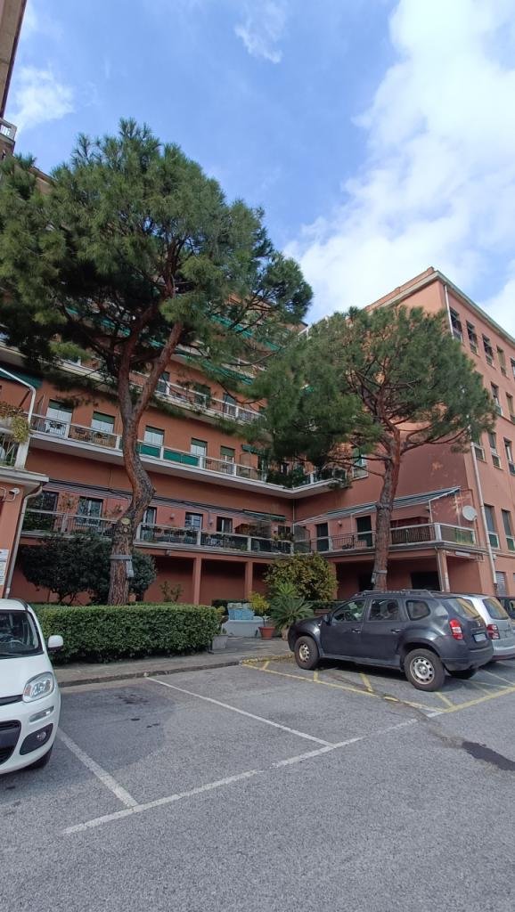 appartamento in affitto a Genova in zona DiNegro