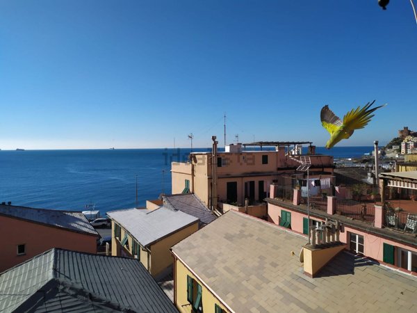 appartamento in affitto a Genova in zona Sturla