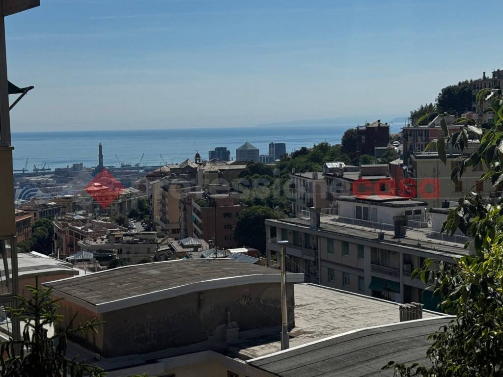 appartamento in affitto a Genova