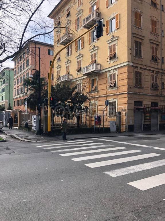 negozio in affitto a Genova in zona Centro Storico