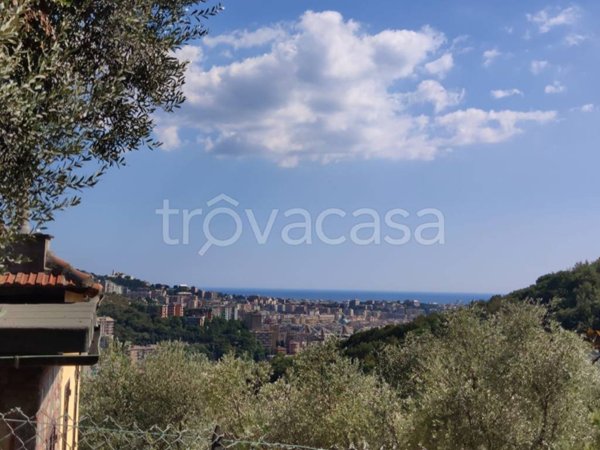 appartamento in affitto a Genova in zona Castelletto
