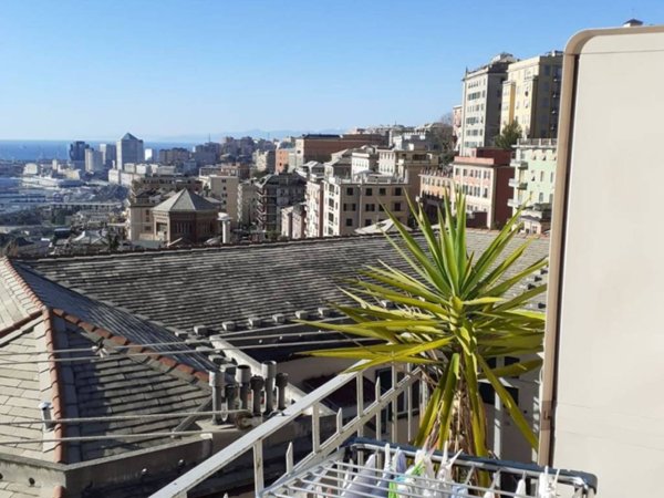 appartamento in affitto a Genova
