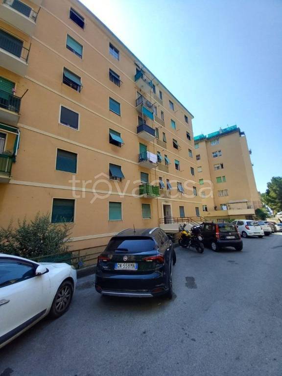 appartamento in affitto a Genova in zona Sampierdarena