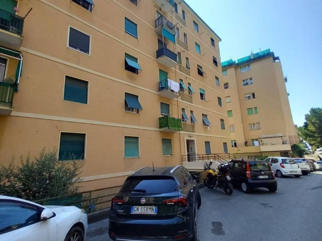 appartamento in affitto a Genova in zona Sampierdarena