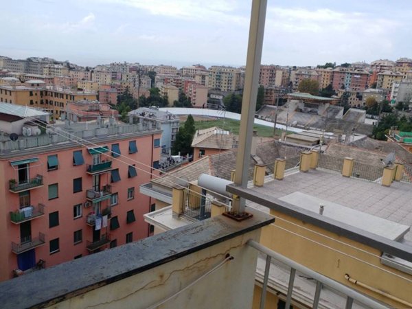 appartamento in affitto a Genova