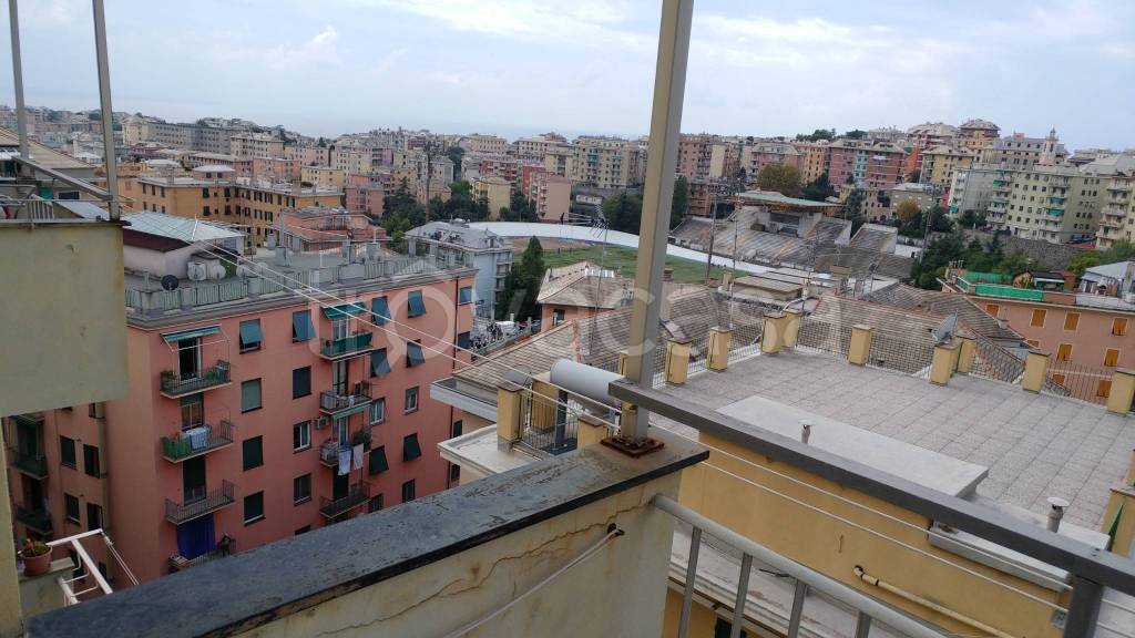 appartamento in affitto a Genova