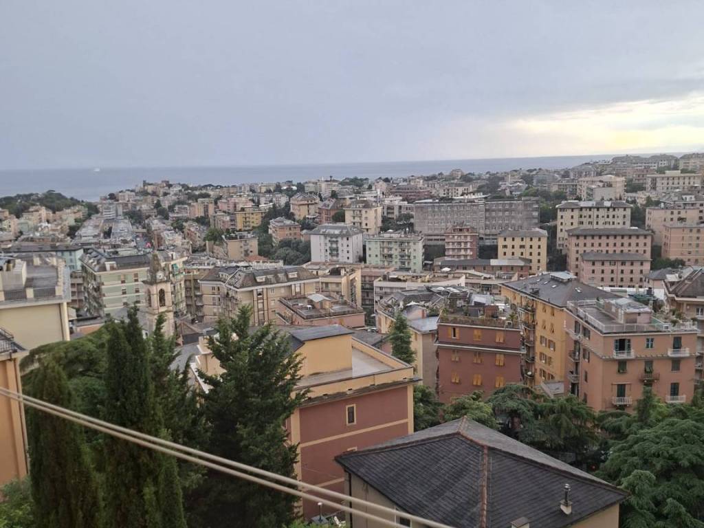appartamento in affitto a Genova