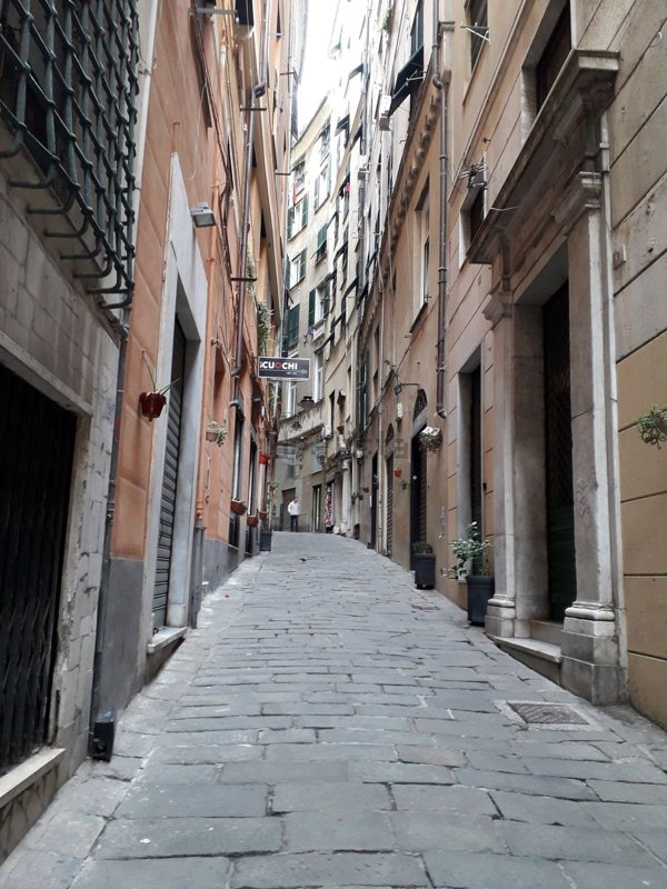 appartamento in affitto a Genova in zona Sottoripa / Maddalena / Molo