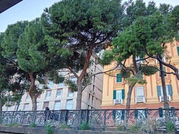 appartamento in affitto a Genova