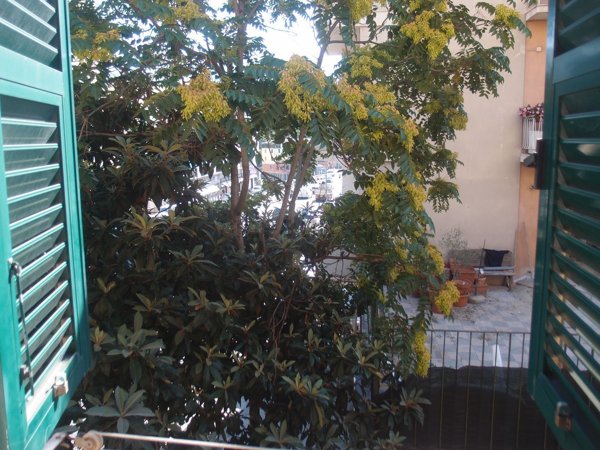 appartamento in affitto a Genova in zona Albaro