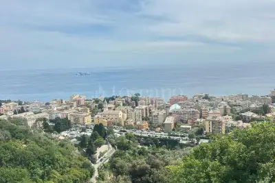 appartamento in affitto a Genova