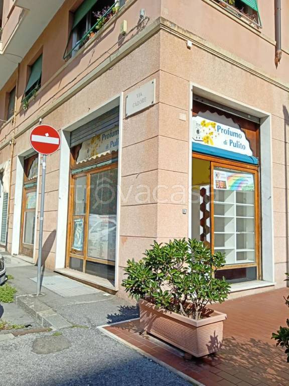 negozio in affitto a Genova in zona Albaro