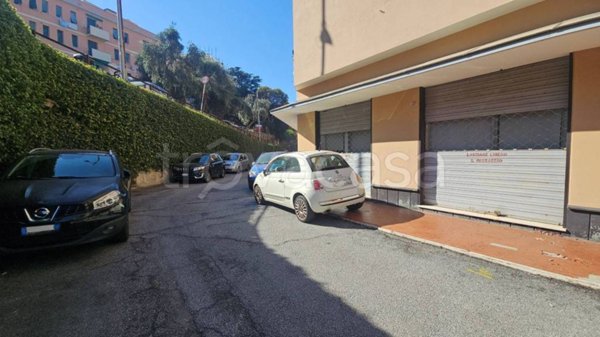 appartamento in affitto a Genova in zona Sturla