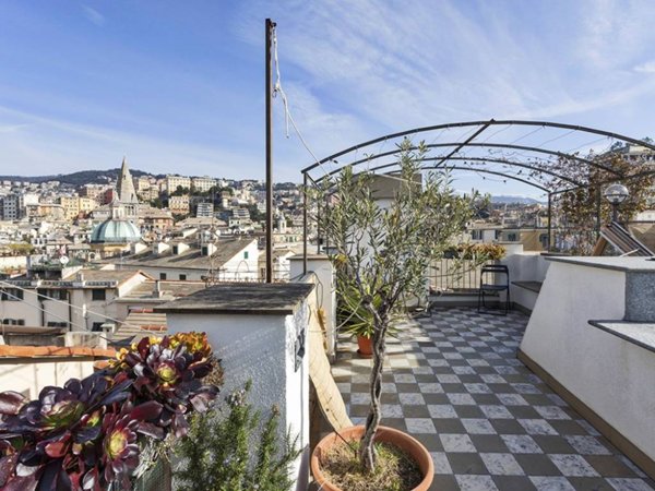 appartamento in affitto a Genova in zona Centro Storico