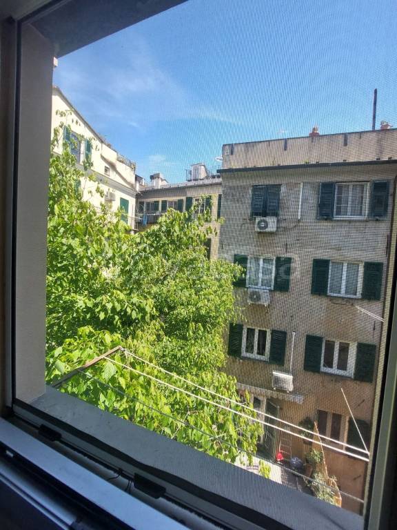 appartamento in affitto a Genova in zona Sottoripa / Maddalena / Molo