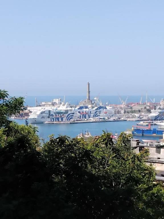 appartamento in affitto a Genova in zona Castelletto