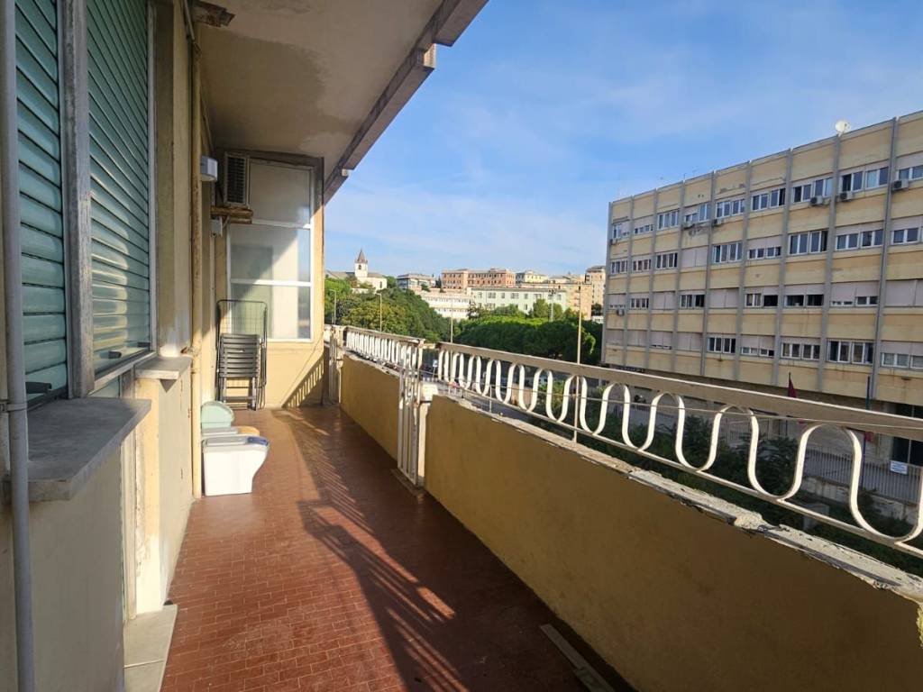 appartamento in affitto a Genova in zona Sturla