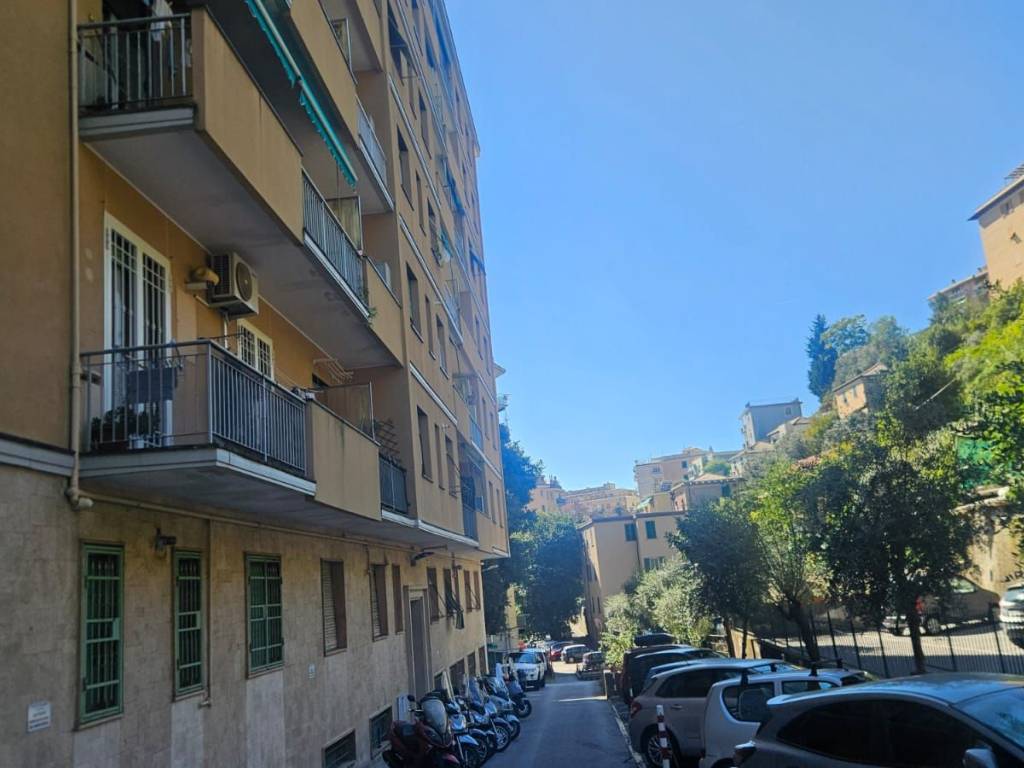 appartamento in affitto a Genova