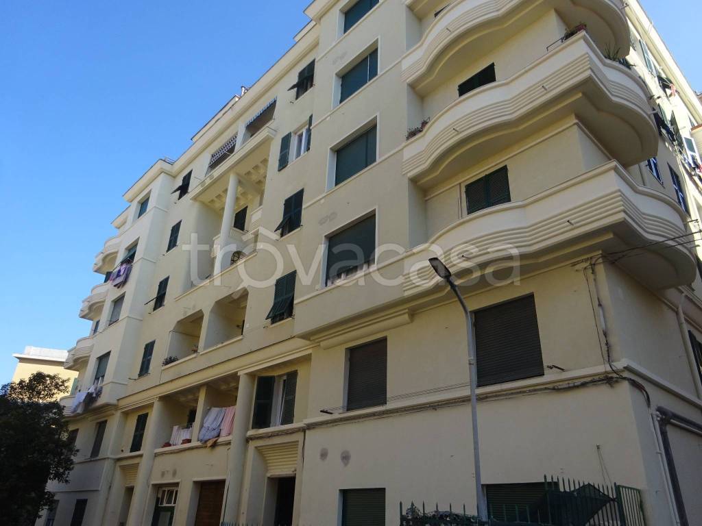 appartamento in affitto a Genova in zona Sampierdarena