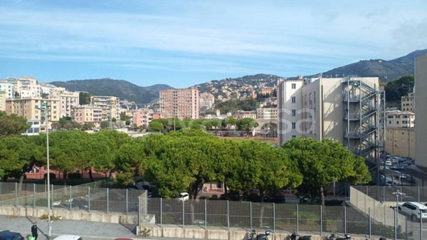 appartamento in affitto a Genova in zona Sturla