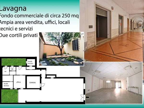 negozio in affitto a Lavagna