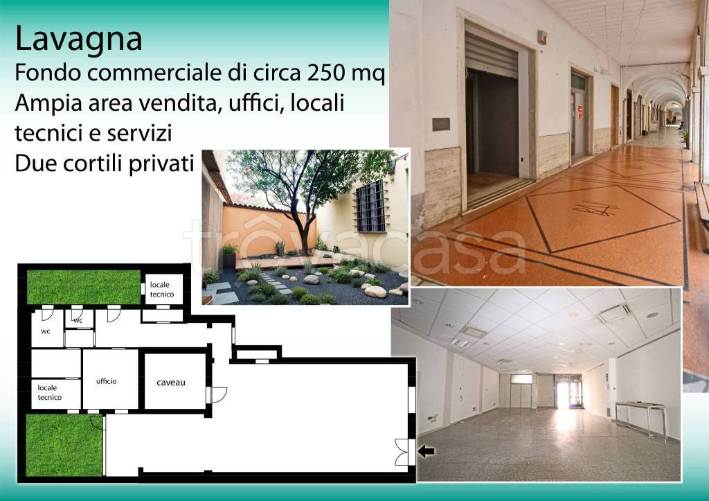 negozio in affitto a Lavagna