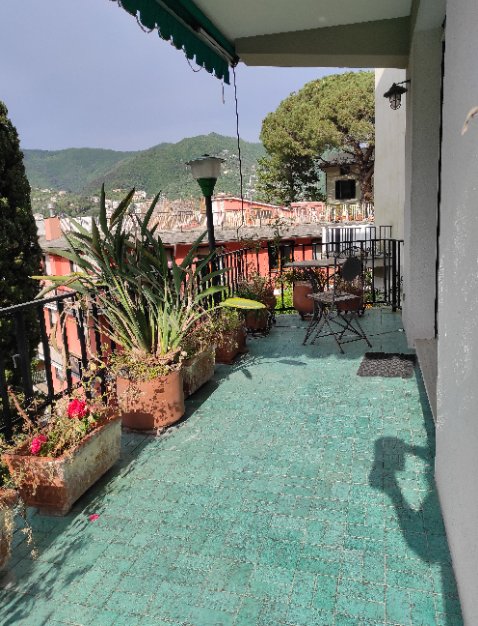 appartamento in affitto a Lavagna