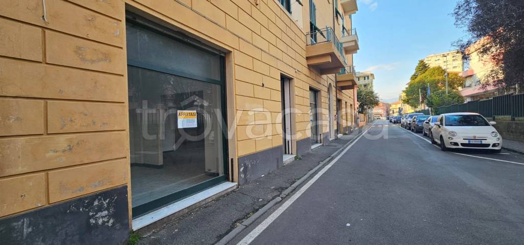 negozio in affitto a Lavagna
