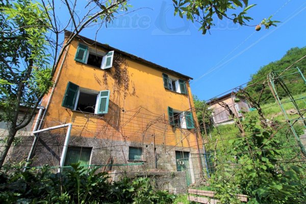 appartamento in affitto a Lumarzo
