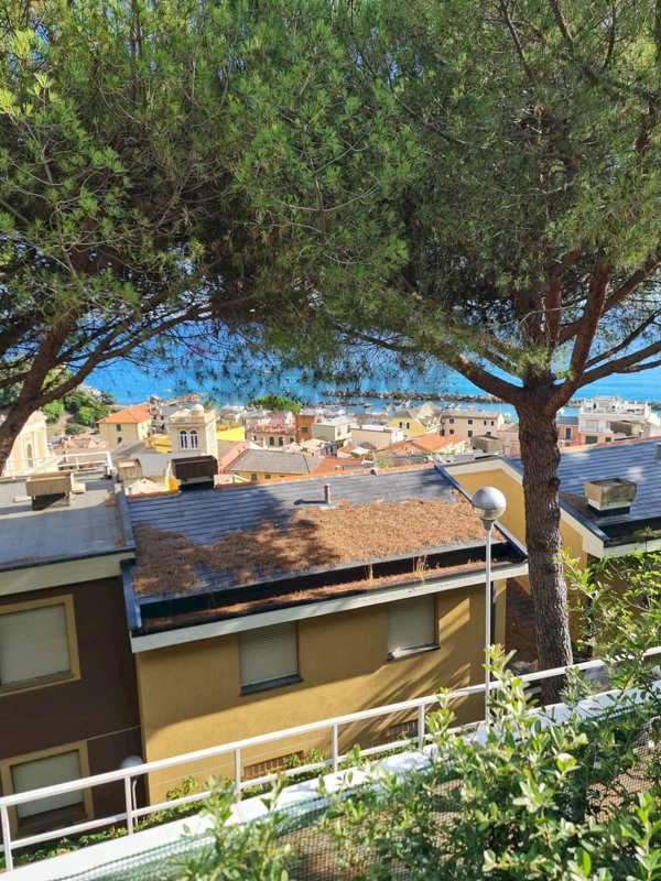appartamento in affitto a Moneglia