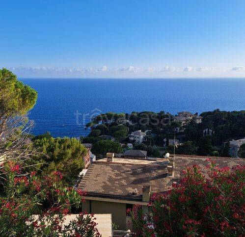 appartamento in affitto a Pieve Ligure