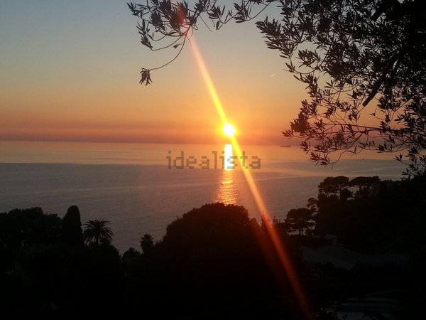 appartamento in affitto a Pieve Ligure